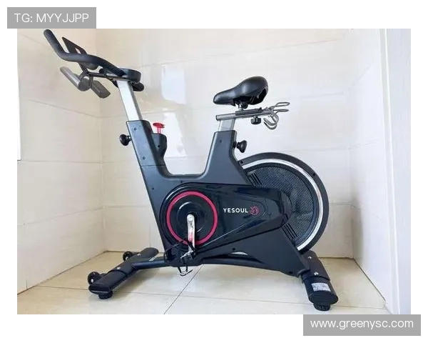 老年人适合使用的健身器材大全及安全指南 老年人适合使用的健身器材大全及安全指南