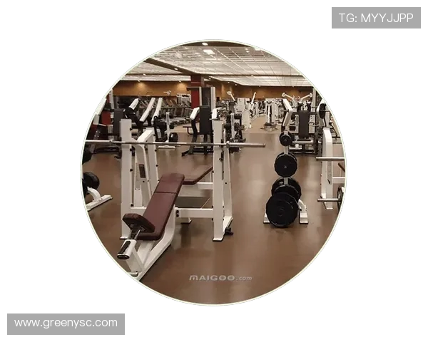 精品室内健身器材种类及适用人群介绍 精品室内健身器材种类及适用人群介绍