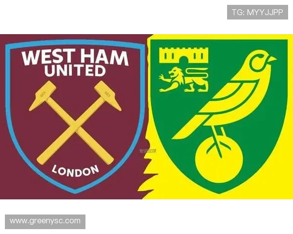 英超球队诺维奇市值分析及其在联赛中的竞争地位探讨 英超球队诺维奇市值分析及其在联赛中的竞争地位探讨