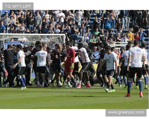 法甲球队球迷社群活动盘点:助威方式与文化建设 法甲球队球迷社群活动盘点:助威方式与文化建设