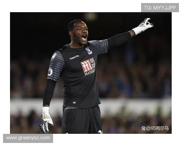 英超黑人球员人数及其体育竞技贡献研究 英超黑人球员人数及其体育竞技贡献研究