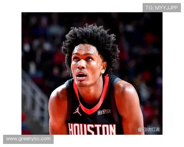 高清版休斯敦火箭队比赛回放视频资源合集